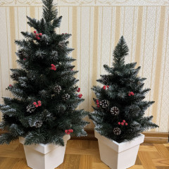 Ялинка в горщику 0.7 м з шишками Кармен Білий Квадратний
