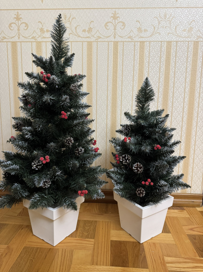 Ялинка в горщику 0.7 м з шишками Кармен Білий Квадратний